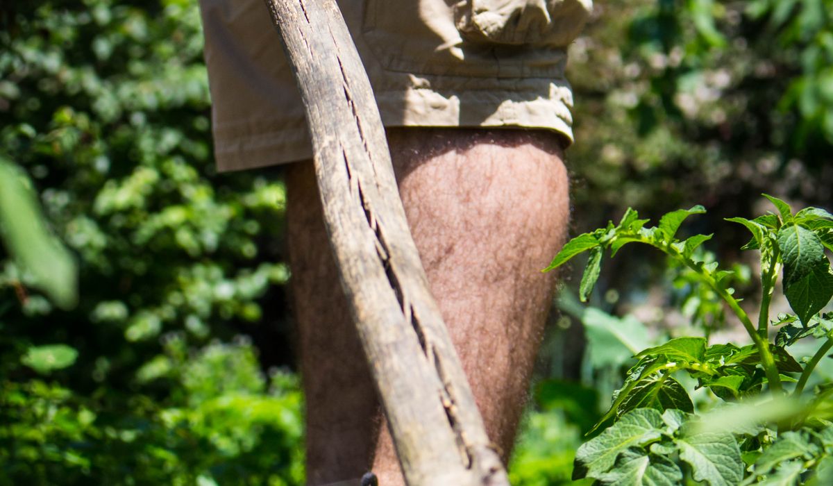 Improving Clay Soil with Organic Matter and Mulch