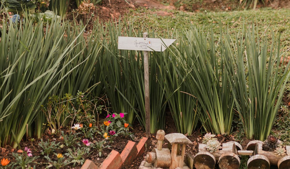 Making a Simple Willow Obelisk for Climbing Plants